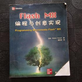 Flash MX编程与创意实现