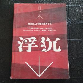 浮沉：最激励人心的职场生存小说