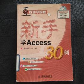 新手学Access30例