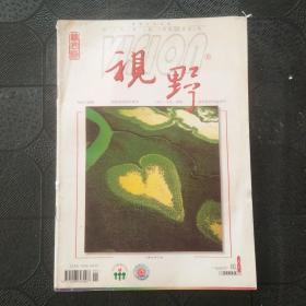 视野 2004年 第8期