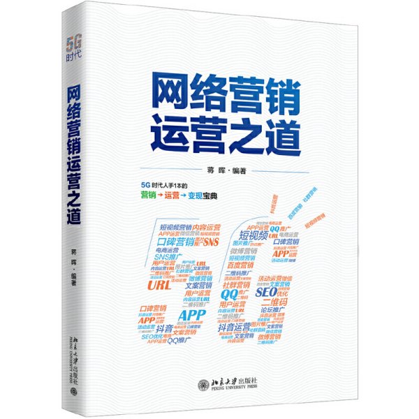 网络营销运营之道 蒋晖 北京大学出版社 9787301305676 正版旧书