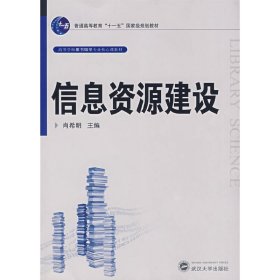 信息资源建设 肖希明 武汉大学出版社 9787307060906 正版旧书