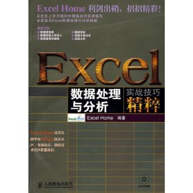 Excel数据处理与分析实战技巧精粹