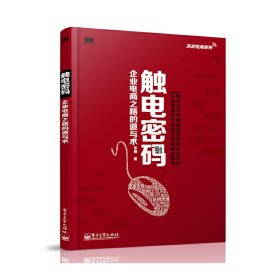 实战电商系列·触电密码：企业电商之路的道与术（全彩）