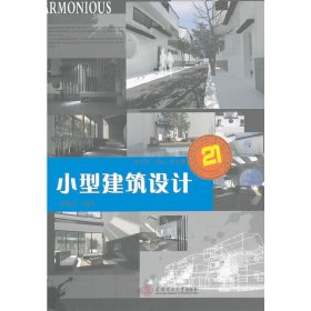 小型建筑设计 张晓晴 华南理工大学出版社 9787562334675 正版旧书