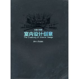 室内设计创意 安勇 湖南大学出版社 9787811138382 正版旧书