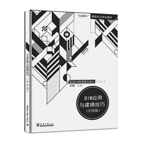 BIM应用与建模技巧(初级篇) 王帅 天津大学出版社 9787561861394 正版旧书