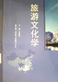 旅游文化学 沈智慧 浙江大学出版社 9787308095600 正版旧书
