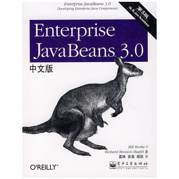 Enterprise JavaBeans 3.0中文版