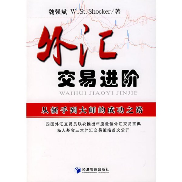 外汇交易进阶：从新手到大师的成功之路