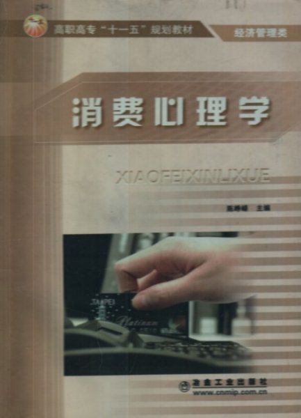 消费心理学 陈峥嵘 冶金工业出版社 9787502448431 正版旧书