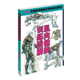 肌肉健美训练图解 (法)德拉威尔 山东科学技术出版社 9787533158842 正版旧书