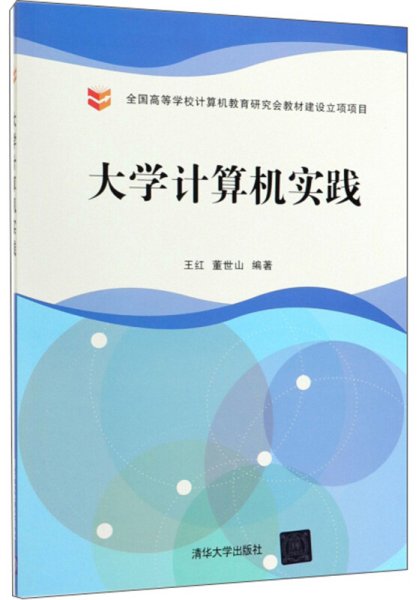 大学计算机实践 王红 董世山 清华大学出版社 9787302536642 正版旧书