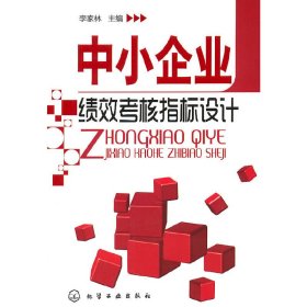 中小企业绩效考核指标设计 李家林 化学工业出版社 9787122116130 正版旧书