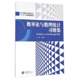 概率论与数理统计习题集 诸天仁 重庆大学出版社 9787562496052 正版旧书