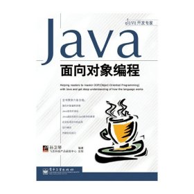 JAVA面向对象编程 孙卫琴 电子工业出版社 9787121025389 正版旧书