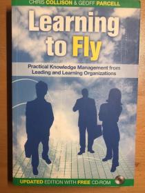 Learning to Fly: Practical Knowledge Management from Leading and Learning Organizations 知识管理经典读本