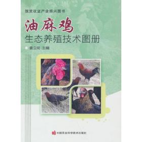油麻鸡生态养殖技术图册