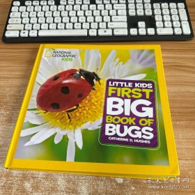 Little Kids First Big Book of Bugs