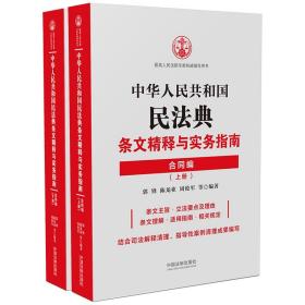 【以此标题为准】中华人民共和国民法典 条文精释与实务指南  上下