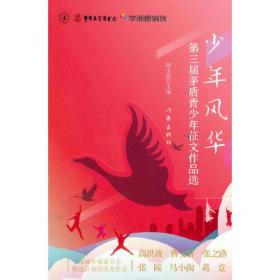 少年风华（第三届茅盾青少年征文作品选，高洪波、曹文轩、张之路等精准点评。）