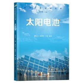 前沿科技视点丛书·太阳电池