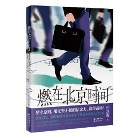 燃在北京时间（资深CFO、著名国际结算专家基于真实外企职场创作的商业小说）