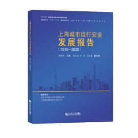 上海城市运行安全发展报告