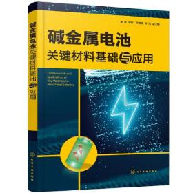 碱金属电池关键材料基础与应用