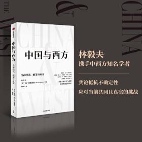 中国与西方：当前经济、政策与应对