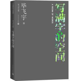 写满字的空间（毕飞宇文集）