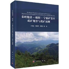 秦岭勉县-略阳-宁强矿集区成矿规律与找矿预测