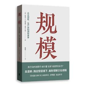 规模--企业创新、生产率和国际竞争