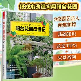 阳台花园改造记 户内外空间 露天阳台花园布置改造植物装饰造景设计 家庭观赏实用性园艺设计书籍 阳台花园养花花园改造记