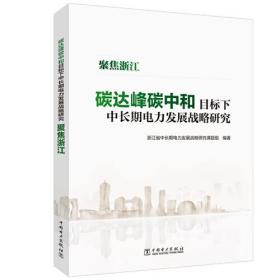 碳达峰碳中和目标下中长期电力发展战略研究——聚焦浙江