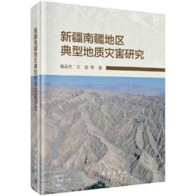 新疆南疆地区典型地质灾害研究