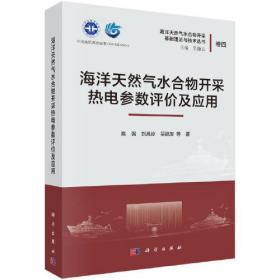 海洋天然气水合物开采热电参数评价及应用