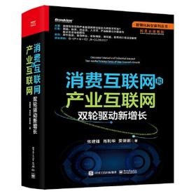 数智化转型系列丛书：消费互联网和产业互联网·双轮驱动新增长  （精装）9787121432545