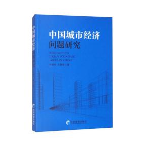 中国城市经济问题研究