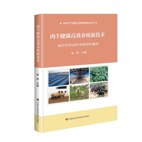 肉羊健康高效养殖新技术/乡村产业振兴提质增效丛书