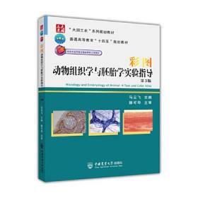 彩图动物组织学与胚胎学实验指导（第3版）