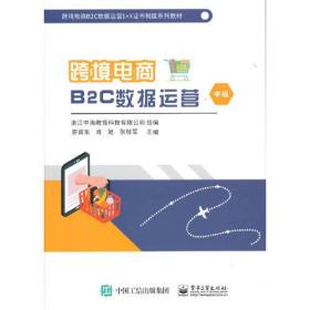 跨境电商B2C数据运营(中级)