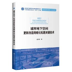 城市地下空间更新改造网络化拓建关键技术