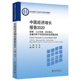 中国经济增长报告2020——疫情、人口负债、逆全球化：多重约束下中国经济的高质量发展 北京大学旗舰店正版