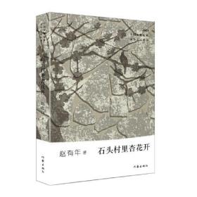 2021中国少数民族文学之星丛书：石头村里杏花开（长篇小说）