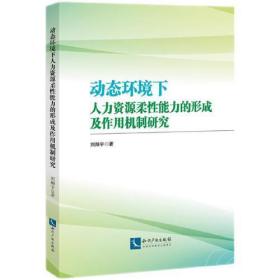 动态环境下人力资源柔性能力的形成及作用机制研究