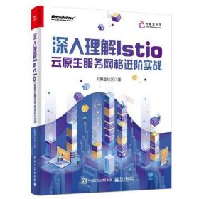 深入理解Istio：云原生服务网格进阶实战