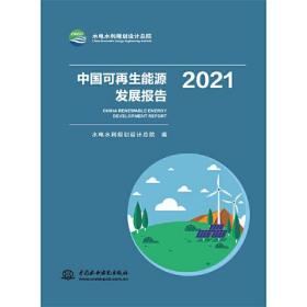 中国可再生能源发展报告20216418