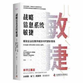 （精装）战略信息系统敏捷：赋能企业在数字经济时代更好发展