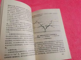 巨峰葡萄 （1988年一版一印）